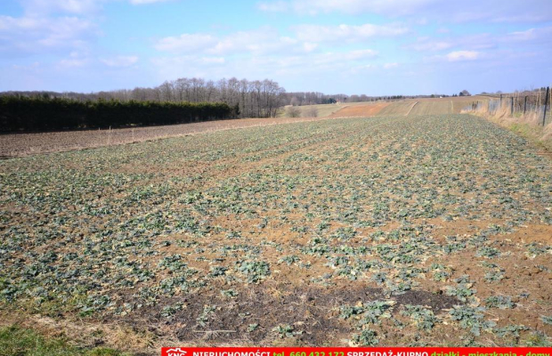 Działka rolna w Motyczu, pow. 6800 m2
