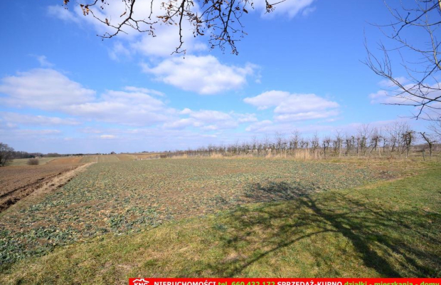 Działka rolna w Motyczu, pow. 6800 m2