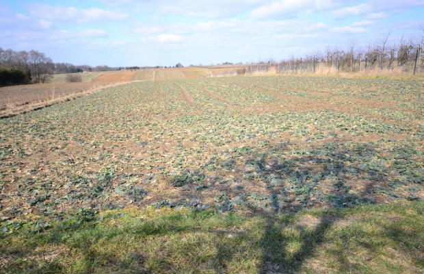Działka rolna w Motyczu, pow. 6800 m2