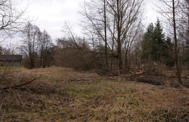 Siedlisko w Wąwolnicy.
