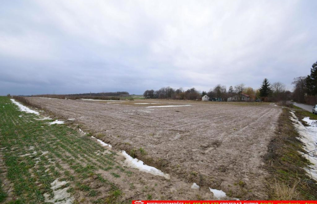Wierciszów, działki budowlane MN, media 100%.