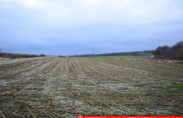 Wierciszów, działki budowlane MN, media 100%.