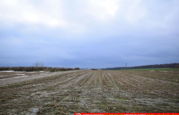 Wierciszów, działki budowlane MN, media 100%.