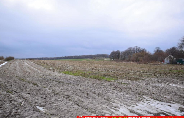 Wierciszów, działki budowlane MN, media 100%.