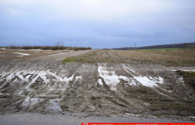 Wierciszów, działki budowlane MN, media 100%.