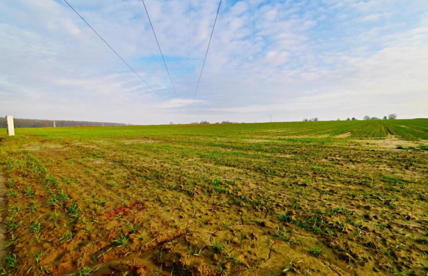 Działka rolno-budowlana - doskonała inwestycja!