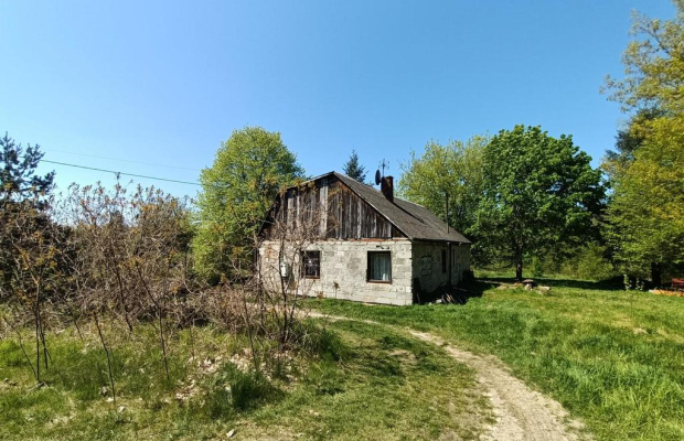 Siedlisko w cichej okolicy 100 km od Warszawy.