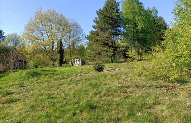 Siedlisko w cichej okolicy 100 km od Warszawy.