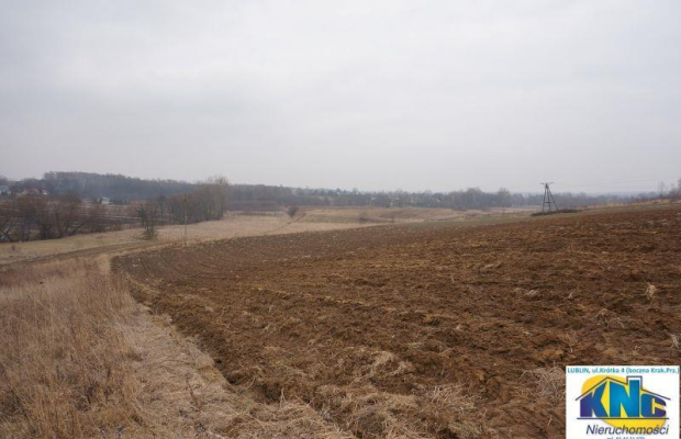 Działka Pliszczyn,media, działka budowl usług 65ar