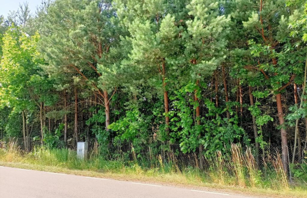 Działki budowlane w malowniczej części Przyłęka.