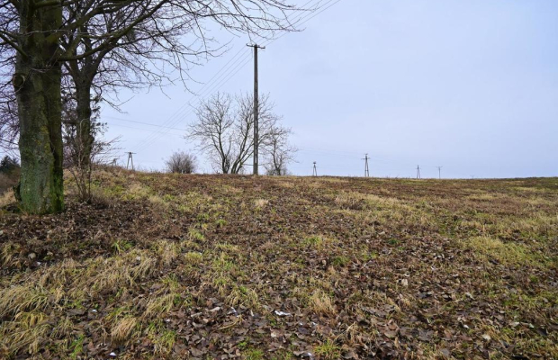 Paulinów - Działka z Warunkami Zabudowy