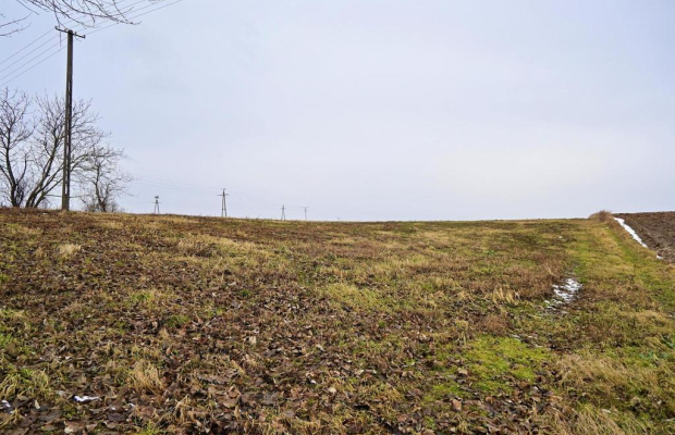 Paulinów - Działka z Warunkami Zabudowy