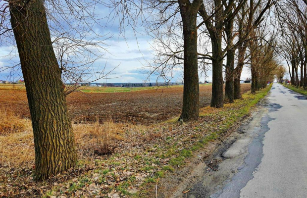 Działka inwestycyjna w Zemborzycach Kościelnych