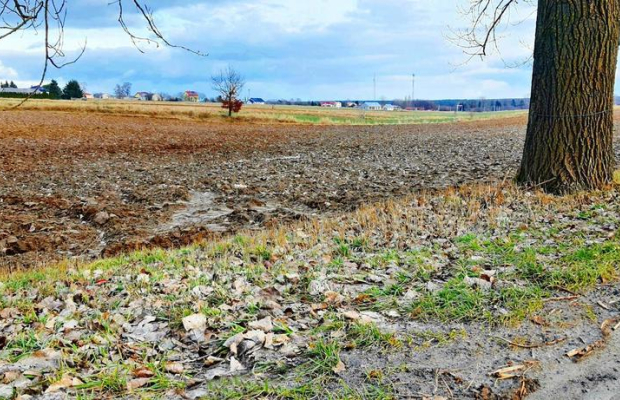 Działka inwestycyjna w Zemborzycach Kościelnych