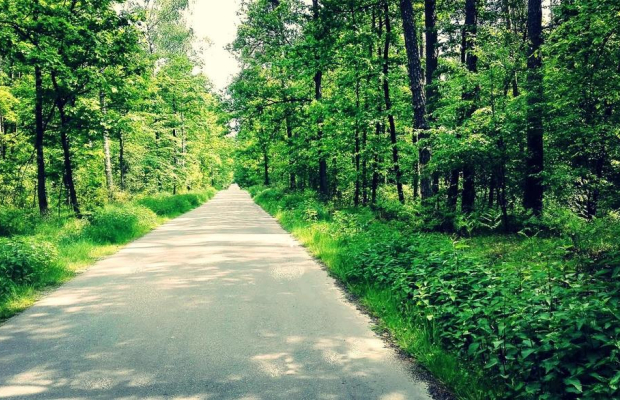 Działka z widokiem na Park Krajobrazowy- wszystkie media!