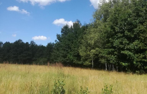 Kolonia Garbatówka, działka rolna, 3,18 ha!!