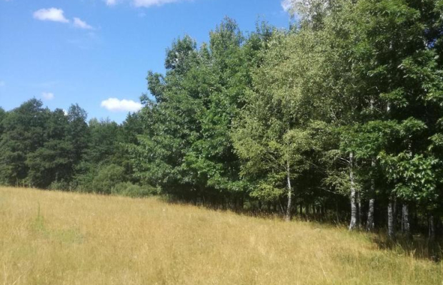 Kolonia Garbatówka, działka rolna, 3,18 ha!!
