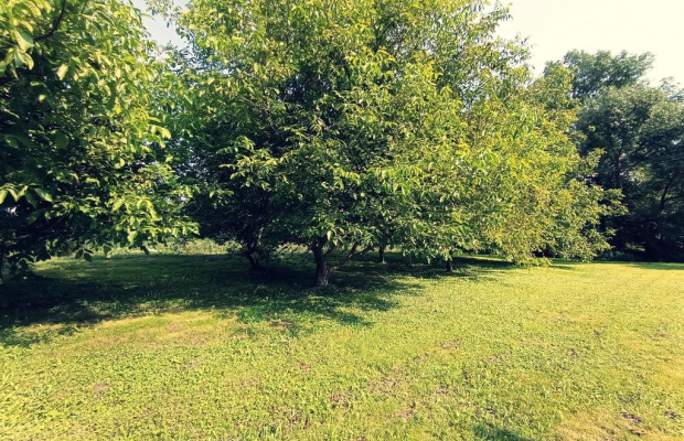 Dom na dużej działce graniczący z rz. Ciemięgą.