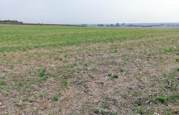 Działka inwestycyjna 4,5 ha bezpośrednio przy S12