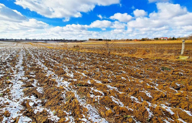 Działka budowlana Płouszowice Kolonia - 35ar