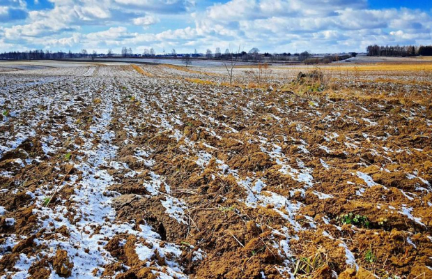 Działka budowlana Płouszowice Kolonia - 35ar