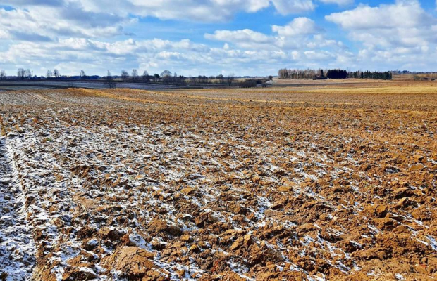 Działka budowlana Płouszowice Kolonia - 35ar