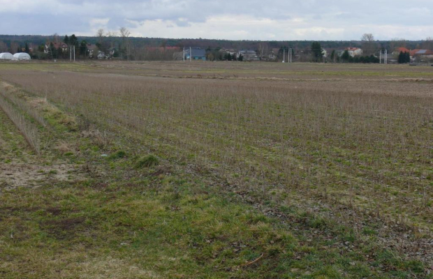 Działka w doskonałej lokalizacji-5 min. od Zalewu