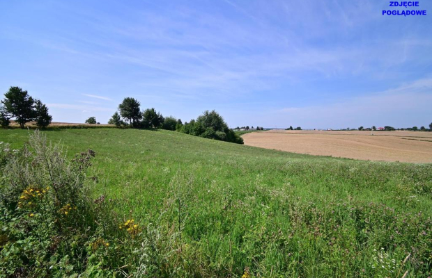 Działka doskonała pod inwestycję - Nałęczów - 14ar