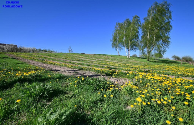 Działka doskonała pod inwestycję - Nałęczów - 14ar