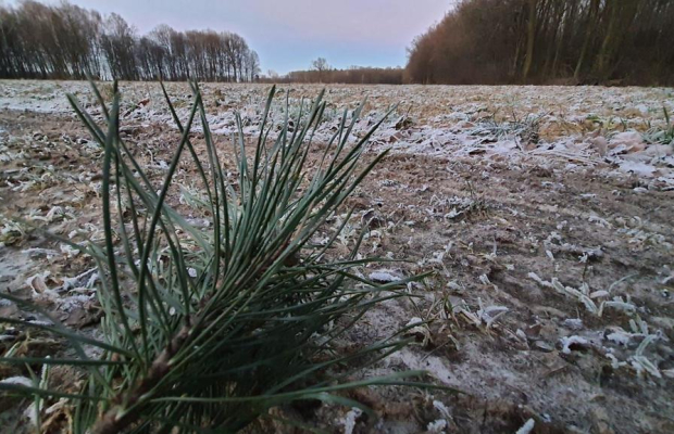 30a w doskonałej lokalizacji pod Kazimierzem D