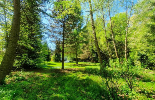 Działka, Zemborzyce Tereszyńskie, 57 ar