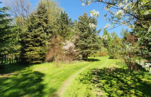 Działka, Zemborzyce Tereszyńskie, 57 ar