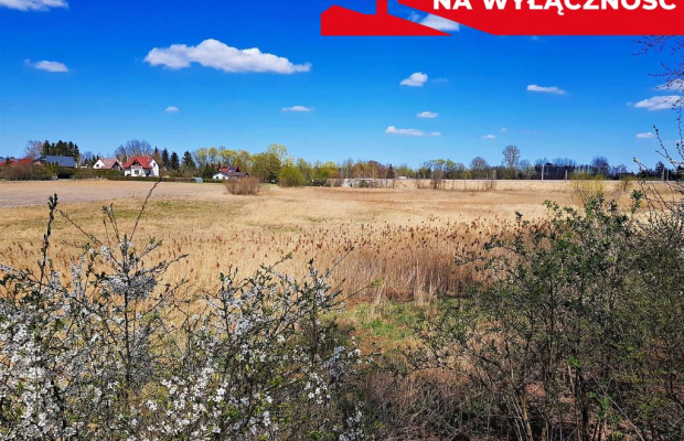 Malowniczo położona działka bud. Miłocin 5000 mkw