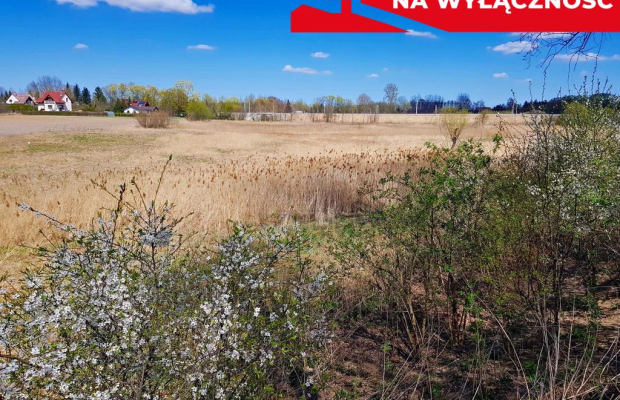 Malowniczo położona działka bud. Miłocin 5000 mkw