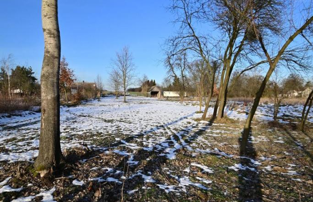 Gm. Wąwolnica - 100ar z projektem domu.