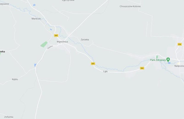 Gm. Wąwolnica - 100ar z projektem domu.