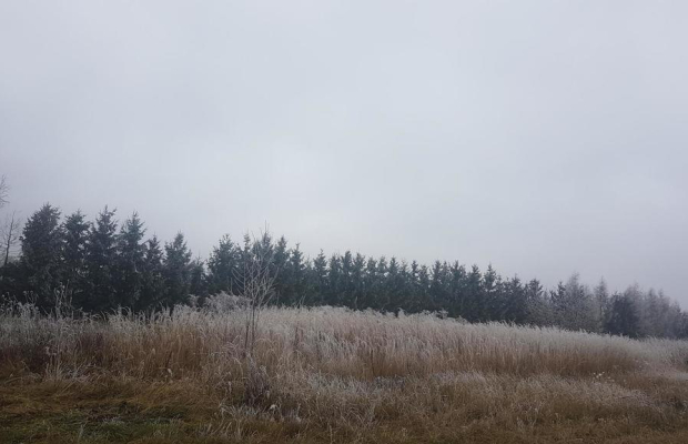 Sprzedam działkę mieszkaniowo-rzemieślniczą!