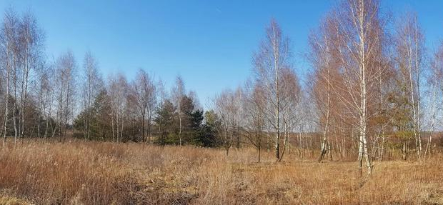 Piękna działka rekreacyjna na zaciszu - Karczmiska
