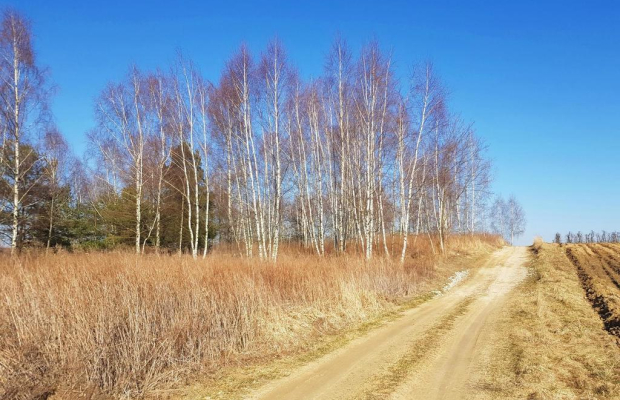 Piękna działka rekreacyjna na zaciszu - Karczmiska