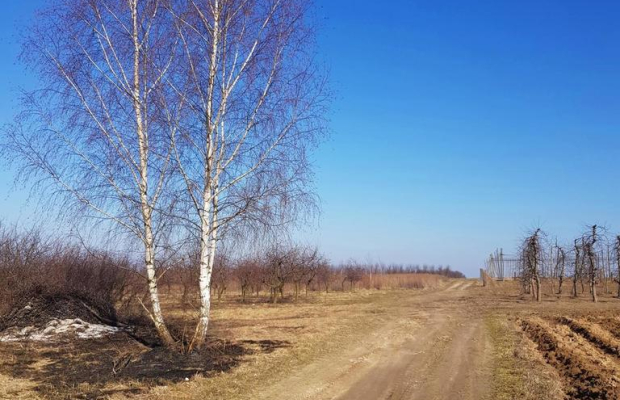 Piękna działka rekreacyjna na zaciszu - Karczmiska