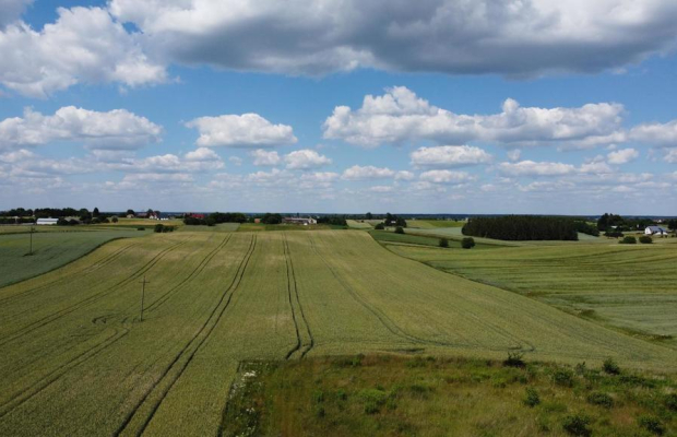 Snopków, 2ha,zmiana MPZP w trakcie