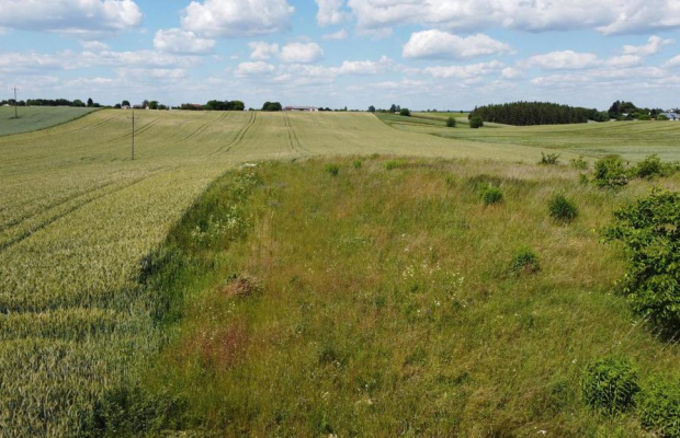 Snopków, 2ha,zmiana MPZP w trakcie