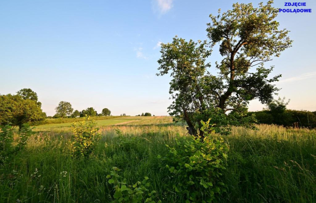 Piotrowice - działka 20 arów w doskonałej cenie!