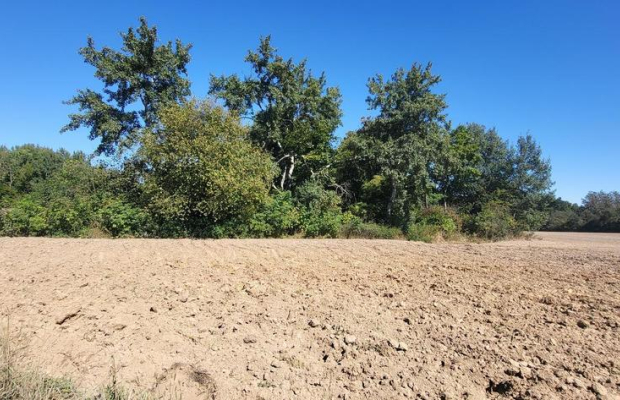 10 ar Konopnica - na zaciszu.