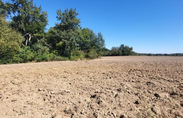 10 ar Konopnica - na zaciszu.