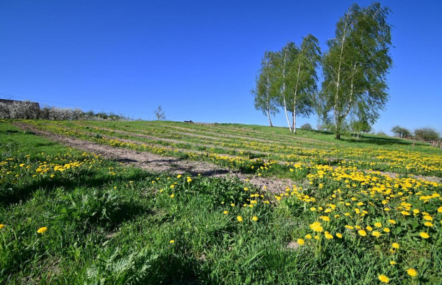 Karczmiska I 12 km od Kazimierza Dolnego