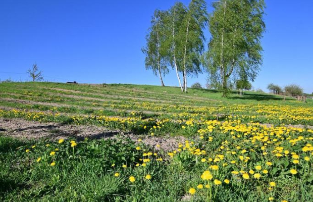 Karczmiska I 12 km od Kazimierza Dolnego