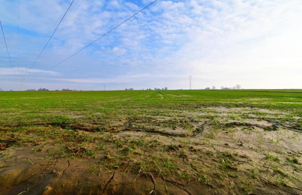 Działka 14ar pod zab. jednorodzinną - Zemborzyce