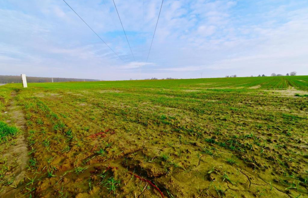 Działka 14ar pod zab. jednorodzinną - Zemborzyce