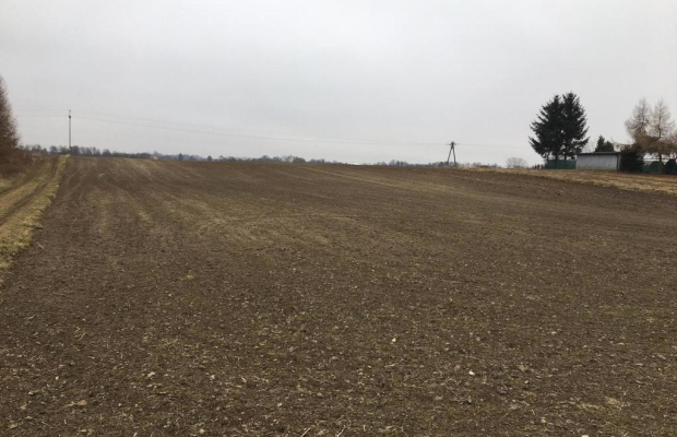 Działka 1.84ha Tomaszowice- Kolonia